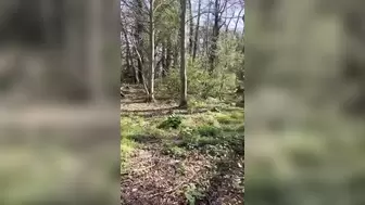 Lucky stranger getting a wank from me in the woods before I take him home for hard fuck
